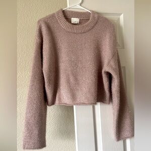 H&M cropped sparkly sweater
